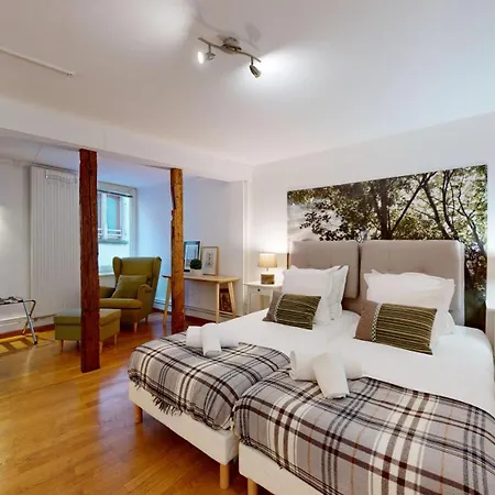 Colmarappart Rue Des Clefs Apartment