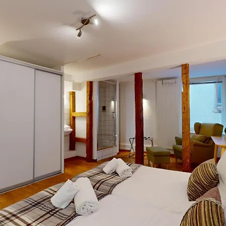 Apartment Colmarappart Rue Des Clefs Colmar