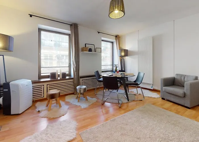 コルマラパー ルー デ クレ アパート コルマール